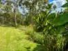 21 Wildflower Court, Clagiraba QLD 4211-Image