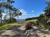21 Wildflower Court, Clagiraba QLD 4211-Image