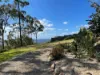 21 Wildflower Court, Clagiraba QLD 4211-Image