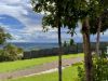 21 Wildflower Court, Clagiraba QLD 4211-Image