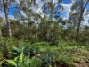 21 Wildflower Court, Clagiraba QLD 4211-Image