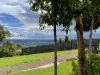 21 Wildflower Court, Clagiraba QLD 4211-Image