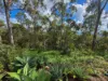 21 Wildflower Court, Clagiraba QLD 4211-Image