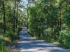 222-224 Morrison Road, Cedar Creek QLD 4520-Image