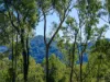 222-224 Morrison Road, Cedar Creek QLD 4520-Image
