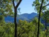 222-224 Morrison Road, Cedar Creek QLD 4520-Image