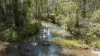 222 Baldaw Road, Captain Creek QLD 4677-Image