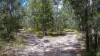 222 Baldaw Road, Captain Creek QLD 4677-Image