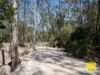 226 Innamincka Way, Agnes Water QLD 4677-Image