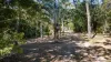 226 Rafting Ground Road, Agnes Water QLD 4677-Image