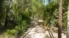 226 Rafting Ground Road, Agnes Water QLD 4677-Image
