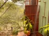 229 Streeter Drive, Agnes Water QLD 4677-Image