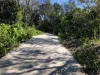 231 Oceanic Drive, Bokarina QLD 4575-Image