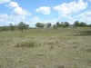 2320 Dawson Highway, Calliope QLD 4680-Image
