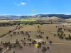 233, Braemore QLD 4313-Image