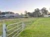 24-26 Baird Street, Dungog NSW 2420-Image