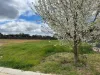 24 Armstrong Drive, Barham NSW 2732-Image