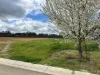 24 Armstrong Drive, Barham NSW 2732-Image