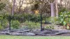 2432 Round Hill Road, Agnes Water QLD 4677-Image