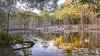 2432 Round Hill Road, Agnes Water QLD 4677-Image