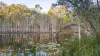 2432 Round Hill Road, Agnes Water QLD 4677-Image