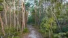 2432 Round Hill Road, Agnes Water QLD 4677-Image