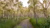 2432 Round Hill Road, Agnes Water QLD 4677-Image