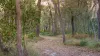 2432 Round Hill Road, Agnes Water QLD 4677-Image