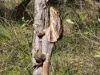2432 Round Hill Road, Agnes Water QLD 4677-Image