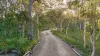 2432 Round Hill Road, Agnes Water QLD 4677-Image