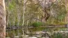 2432 Round Hill Road, Agnes Water QLD 4677-Image