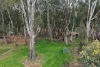 25 Armstrong Drive, Barham NSW 2732-Image