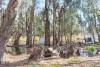 25 Armstrong Drive, Barham NSW 2732-Image