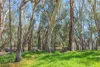 25 Armstrong Drive, Barham NSW 2732-Image