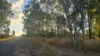 26 Causeway Road, Booyal QLD 4671-Image