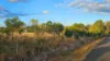 26 Causeway Road, Booyal QLD 4671-Image