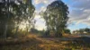 26 Causeway Road, Booyal QLD 4671-Image