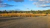 26 Causeway Road, Booyal QLD 4671-Image