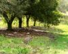 284 Fredericks Road, Caniaba NSW 2480-Image