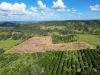 284 Fredericks Road, Caniaba NSW 2480-Image