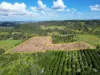 284 Fredericks Road, Caniaba NSW 2480-Image
