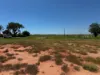 3 Bagot Street, Djugun WA 6725-Image