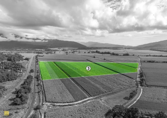 3 Bruce Highway, Bellenden Ker QLD 4871-Image