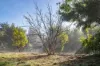 3 Dusting Drive, Bridgetown WA 6255-Image