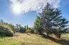 3 Dusting Drive, Bridgetown WA 6255-Image
