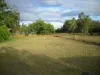 3 Main Street, Coominya QLD 4311-Image