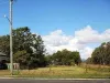 3 Main Street, Coominya QLD 4311-Image