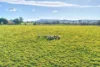 30 Mendham Street, Barry via, Blayney NSW 2799-Image
