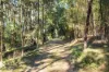 3085 Putty Road, Colo Heights NSW 2756-Image