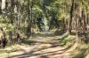 3085 Putty Road, Colo Heights NSW 2756-Image
